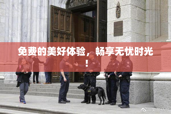 免费的美好体验，畅享无忧时光！