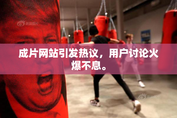 成片网站引发热议，用户讨论火爆不息。