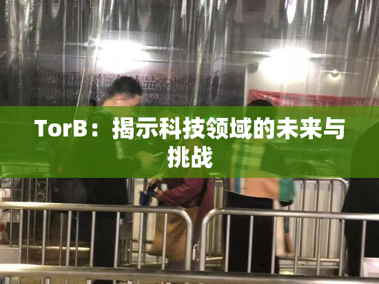TorB：揭示科技领域的未来与挑战