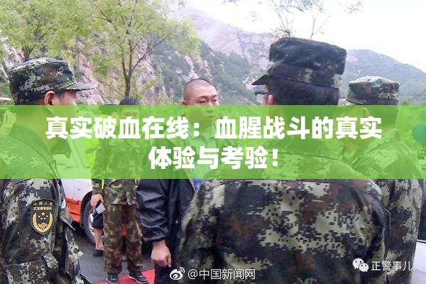 真实破血在线：血腥战斗的真实体验与考验！