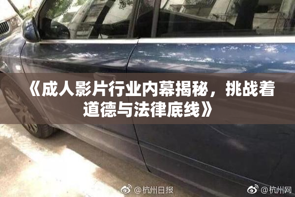 《成人影片行业内幕揭秘，挑战着道德与法律底线》