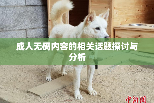 成人无码内容的相关话题探讨与分析