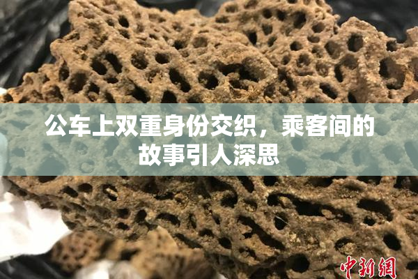 公车上双重身份交织，乘客间的故事引人深思