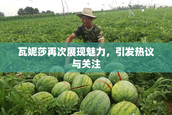 瓦妮莎再次展现魅力，引发热议与关注