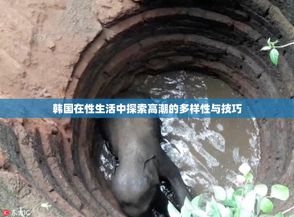 韩国在性生活中探索高潮的多样性与技巧