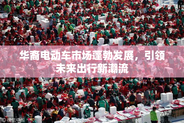 华裔电动车市场蓬勃发展，引领未来出行新潮流