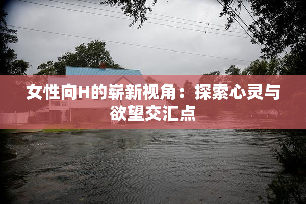 女性向H的崭新视角：探索心灵与欲望交汇点