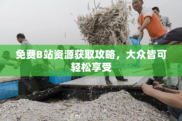 免费B站资源获取攻略，大众皆可轻松享受