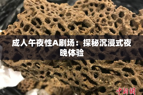 成人午夜性A剧场：探秘沉浸式夜晚体验