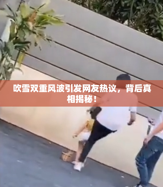 吹雪双重风波引发网友热议，背后真相揭秘！