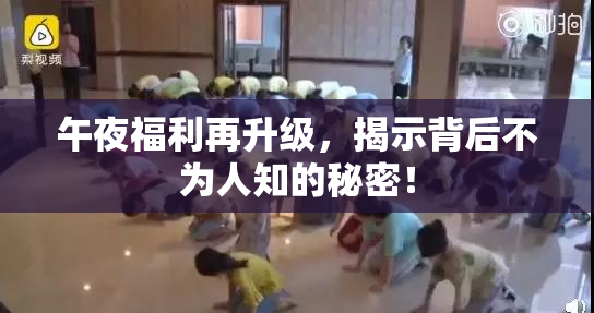 午夜福利再升级，揭示背后不为人知的秘密！