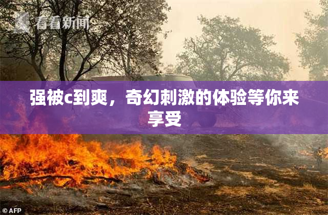 强被c到爽，奇幻刺激的体验等你来享受