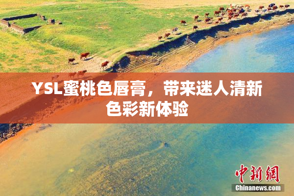 YSL蜜桃色唇膏，带来迷人清新色彩新体验
