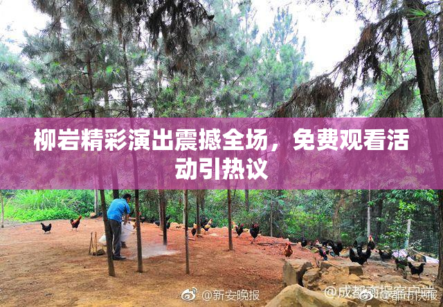 柳岩精彩演出震撼全场，免费观看活动引热议