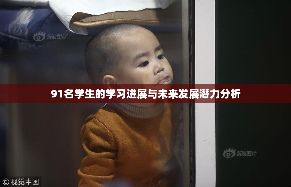 91名学生的学习进展与未来发展潜力分析