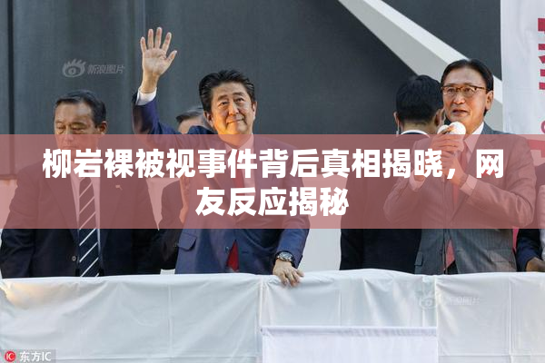 柳岩裸被视事件背后真相揭晓，网友反应揭秘