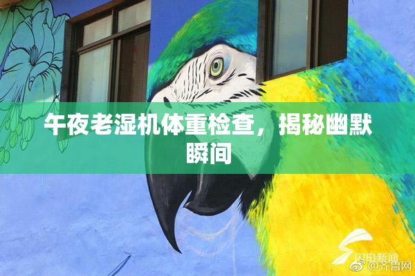 午夜老湿机体重检查，揭秘幽默瞬间