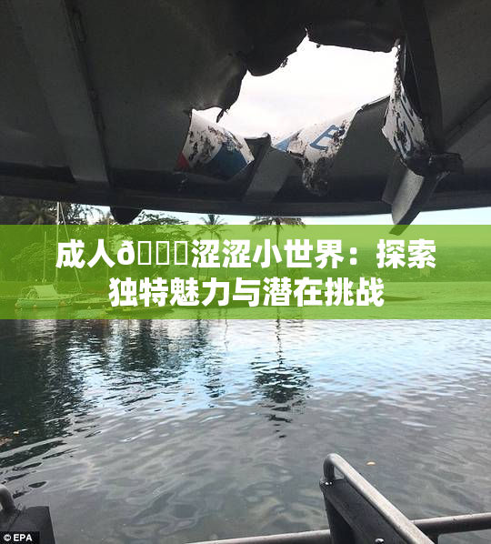 成人🔞涩涩小世界：探索独特魅力与潜在挑战