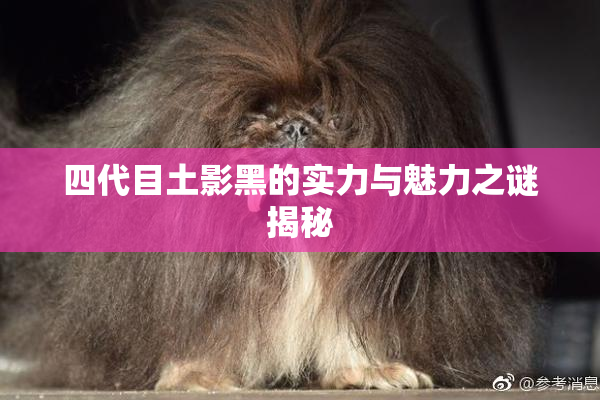 四代目土影黑的实力与魅力之谜揭秘