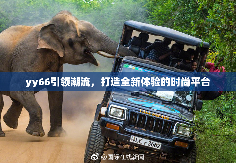 yy66引领潮流，打造全新体验的时尚平台