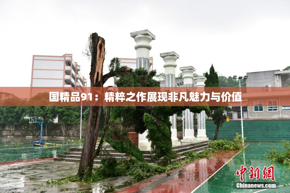国精品91：精粹之作展现非凡魅力与价值