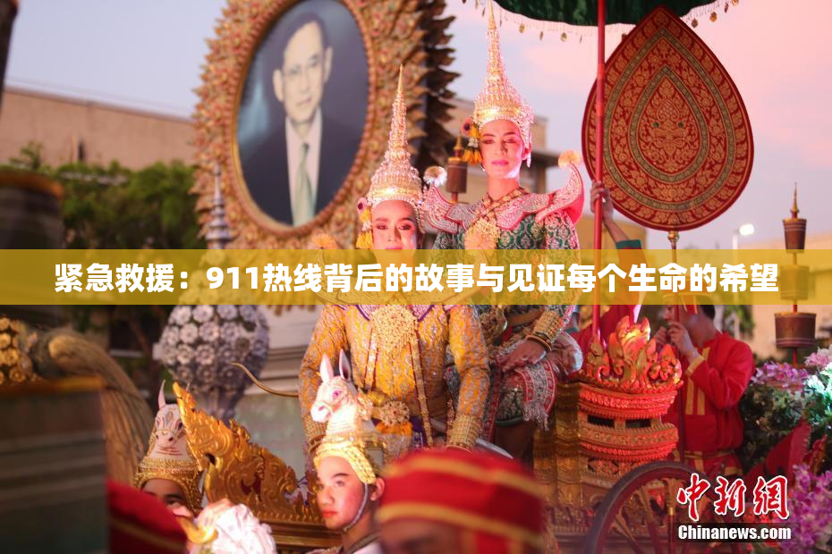 紧急救援：911热线背后的故事与见证每个生命的希望
