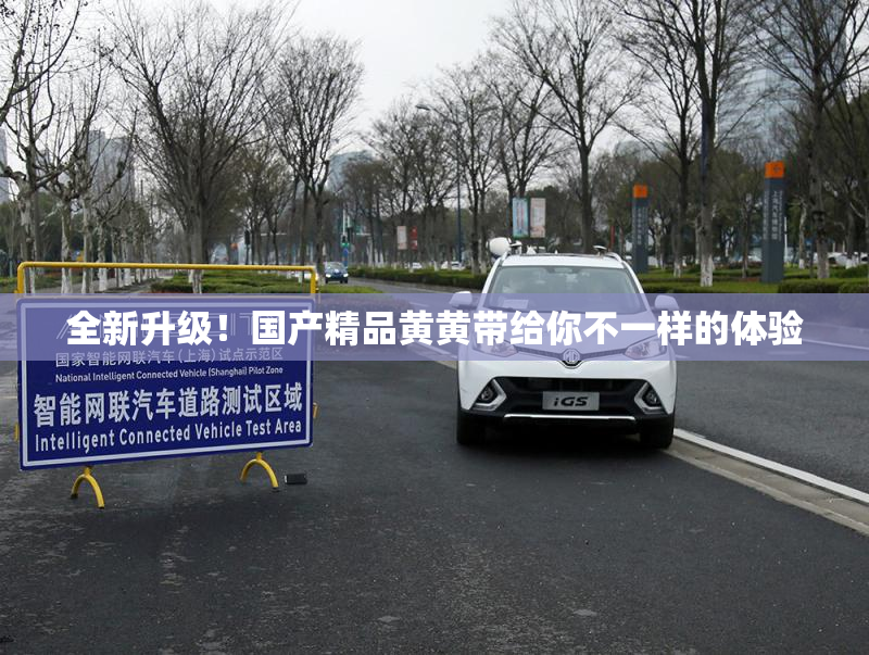 全新升级！国产精品黄黄带给你不一样的体验