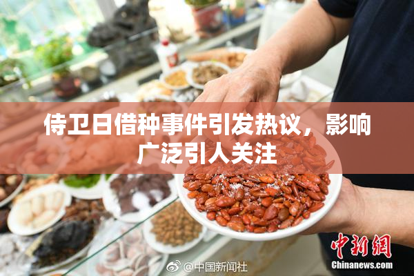侍卫日借种事件引发热议，影响广泛引人关注