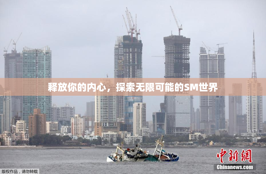 释放你的内心，探索无限可能的SM世界