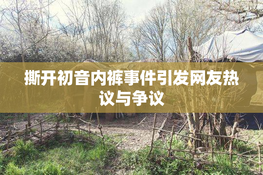 撕开初音内裤事件引发网友热议与争议