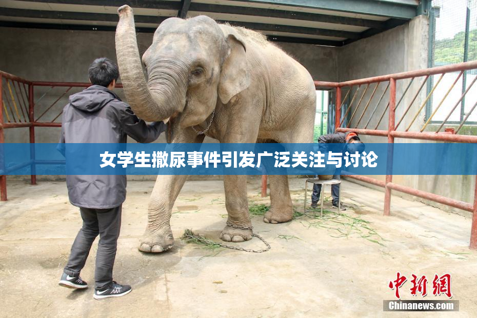 女学生撒尿事件引发广泛关注与讨论