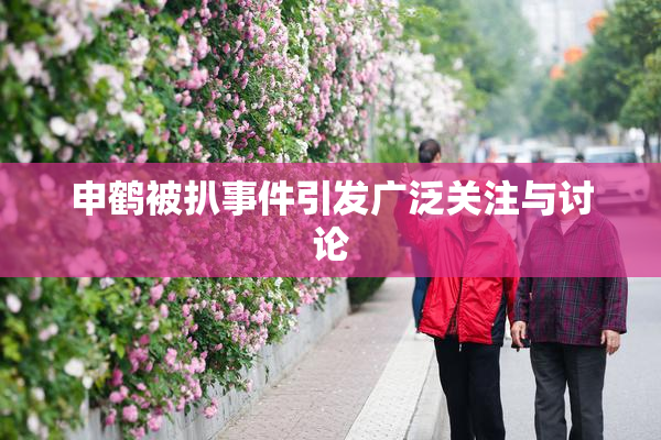 申鹤被扒事件引发广泛关注与讨论