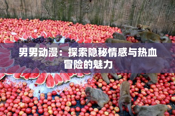 男男动漫：探索隐秘情感与热血冒险的魅力