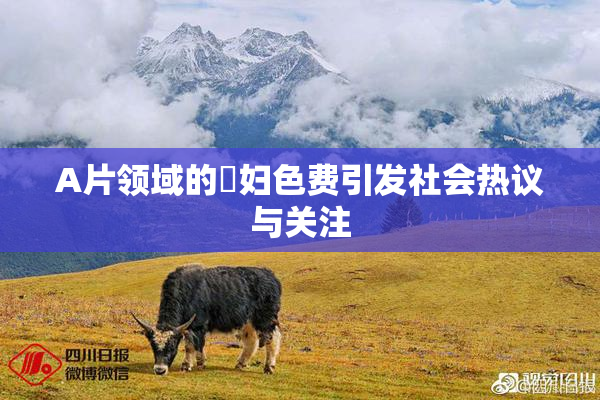 A片领域的婬妇色费引发社会热议与关注
