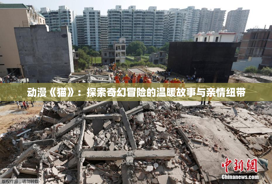 动漫《猫》：探索奇幻冒险的温暖故事与亲情纽带