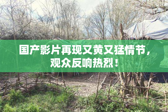 国产影片再现又黄又猛情节，观众反响热烈！