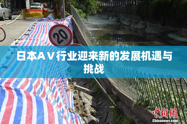 日本AⅤ行业迎来新的发展机遇与挑战