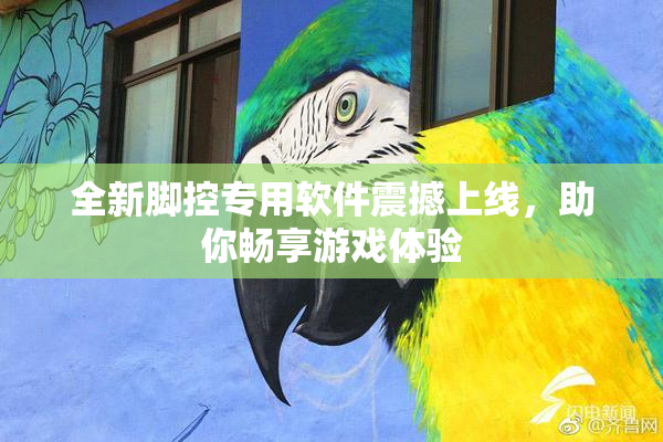 全新脚控专用软件震撼上线，助你畅享游戏体验