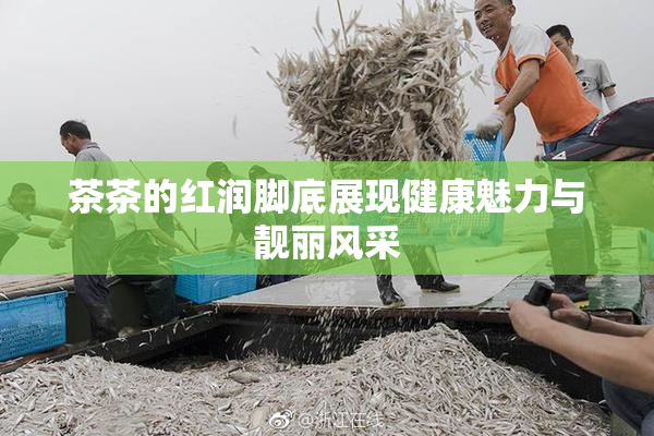 茶茶的红润脚底展现健康魅力与靓丽风采