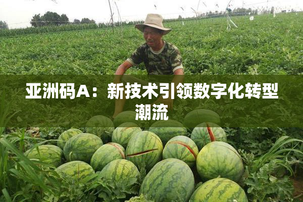 亚洲码A：新技术引领数字化转型潮流