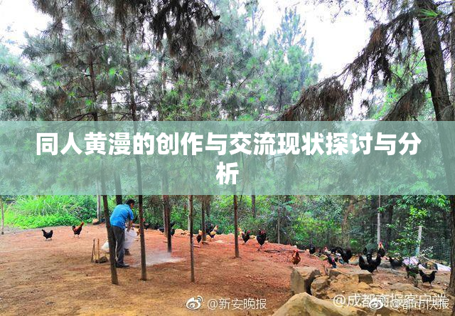同人黄漫的创作与交流现状探讨与分析