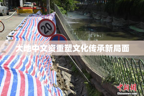 大地中文资重塑文化传承新局面