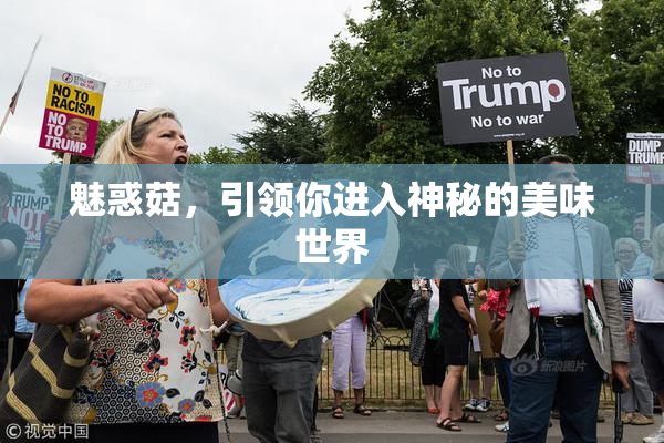 魅惑菇，引领你进入神秘的美味世界
