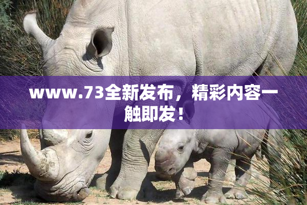 www.73全新发布，精彩内容一触即发！