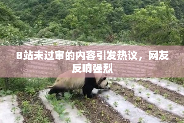 B站未过审的内容引发热议，网友反响强烈