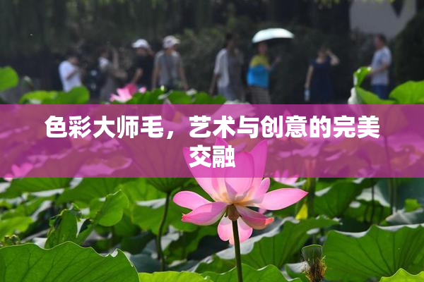 色彩大师毛，艺术与创意的完美交融