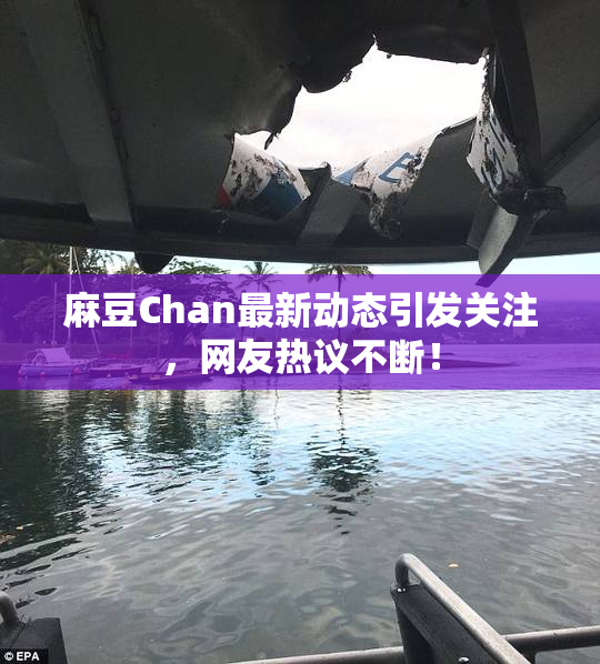 麻豆Chan最新动态引发关注，网友热议不断！