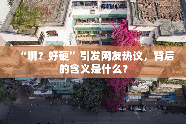 “啊？好硬”引发网友热议，背后的含义是什么？