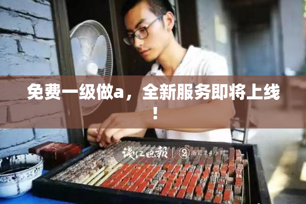 免费一级做a，全新服务即将上线！