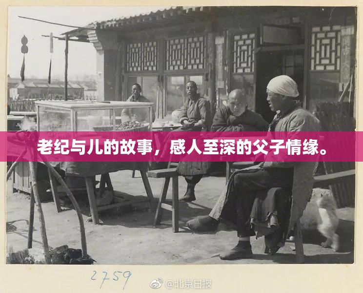 老纪与儿的故事，感人至深的父子情缘。